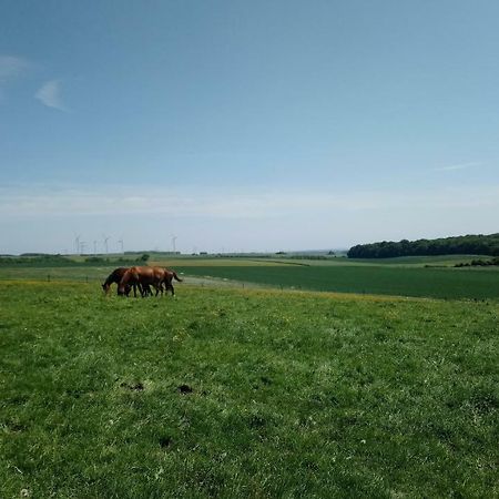 Jad Ranch Hotel Raucourt-et-Flaba Exterior foto