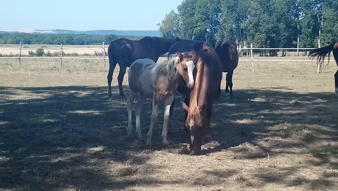 Jad Ranch Hotel Raucourt-et-Flaba Exterior foto
